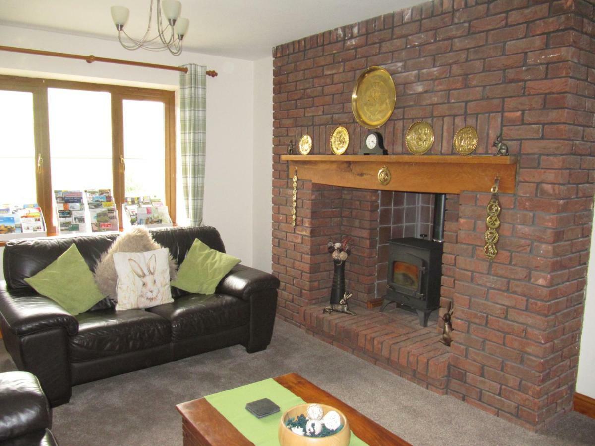 Nant-Y-Glyn Villa ลานดินดรอดเวลส์ ภายนอก รูปภาพ